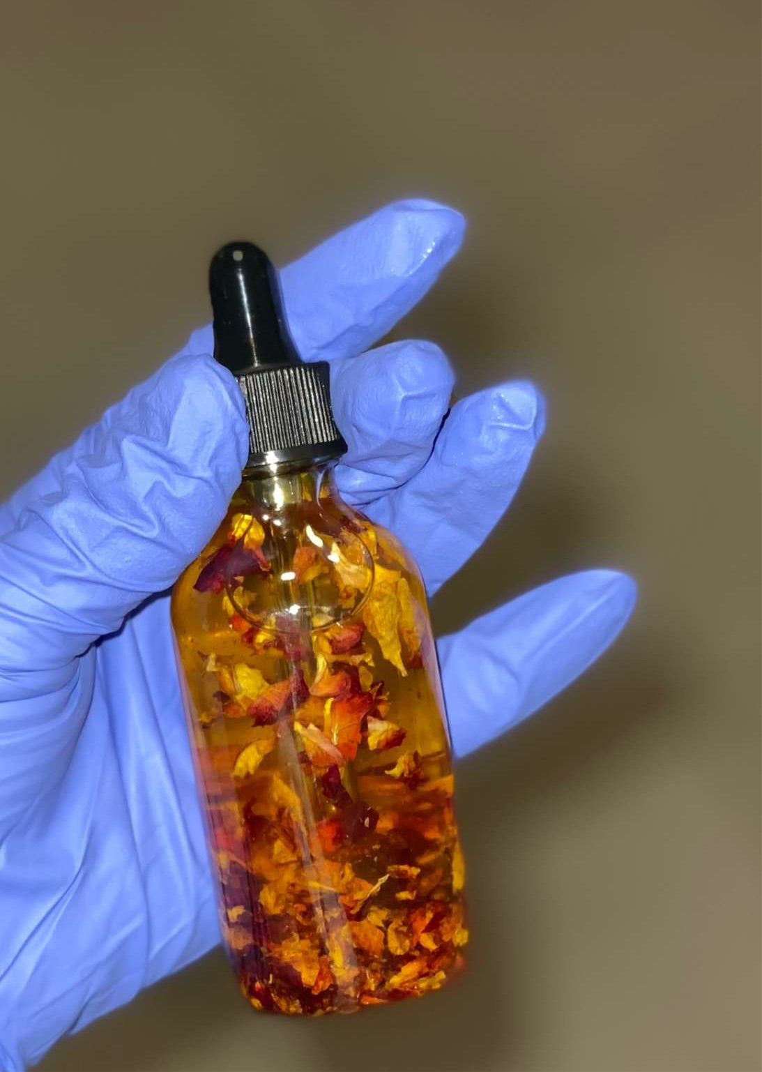 Qing’s & Kueen’s Beauty Bel rose